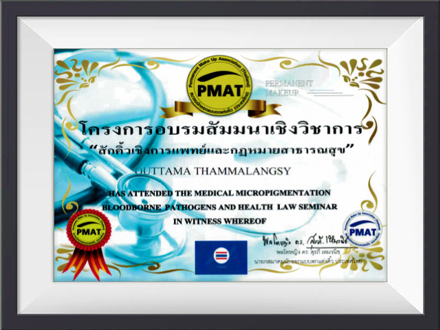 เข้าร่วมอบรม โครงการอบรมสัมมนาเชิงวิชาการ (สักคิ้วเชิงการแพทย์และกฎหมายสาธารณสุข) ที่โรงพยาบาล เปาโล โดยPmat เป็นผู้จัดงานในครั้งนี้,🇹🇭 PMAT (Permanent Makeup Association of Thailand),Paolo Hospital