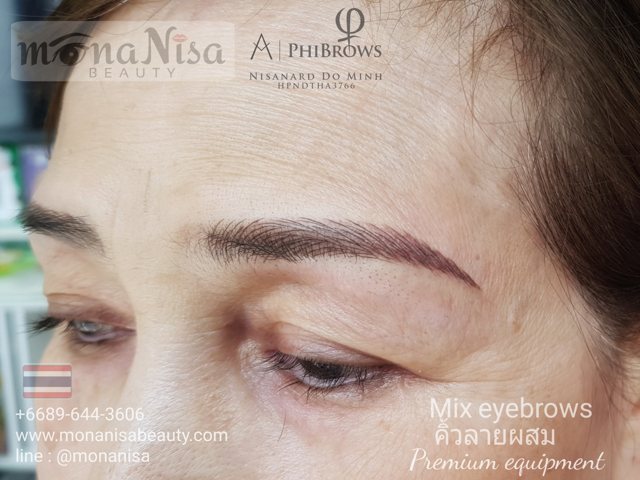 คิ้วสามมิติแบบผสม