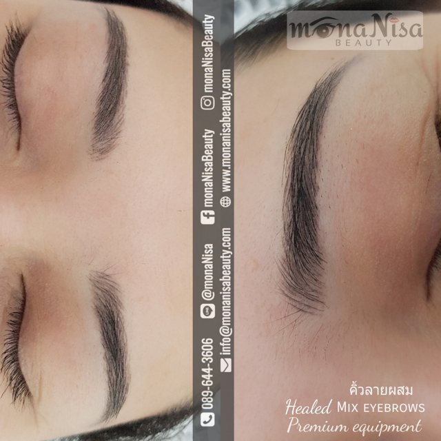 คิ้วสามมิติแบบผสม