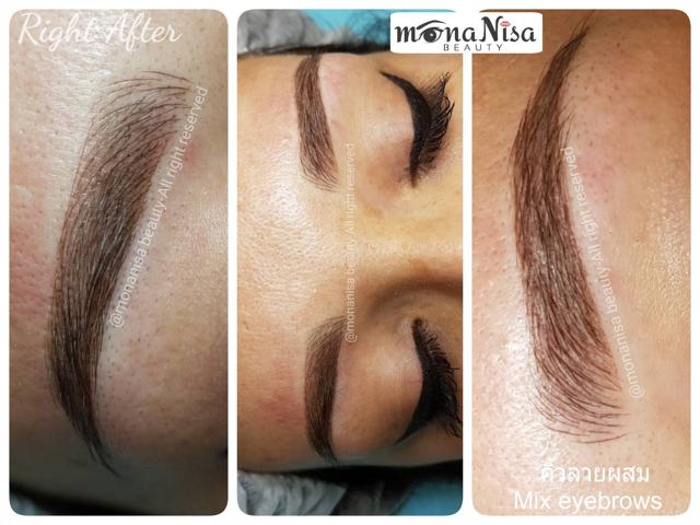 คิ้วสามมิติแบบผสม