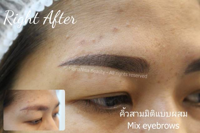 คิ้วสามมิติแบบผสม