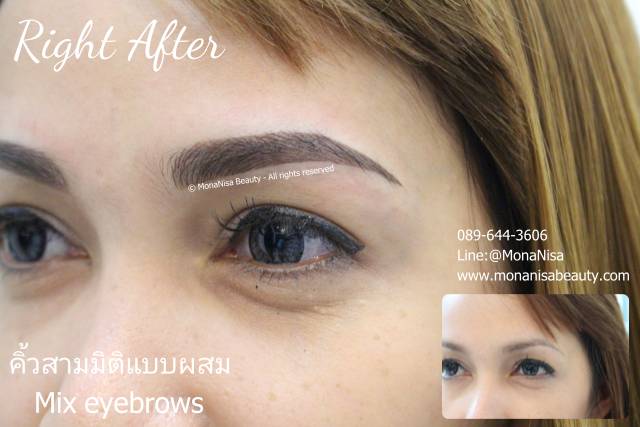 คิ้วสามมิติแบบผสม