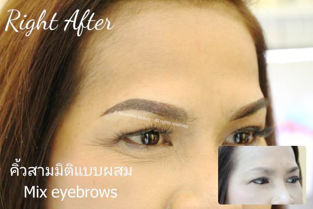 คิ้วสามมิติแบบผสม