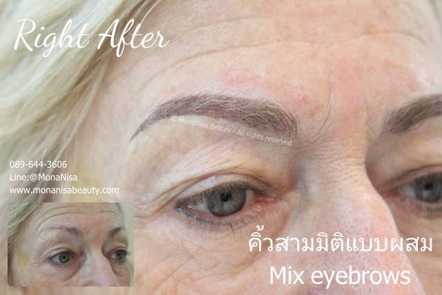 คิ้วสามมิติแบบผสม