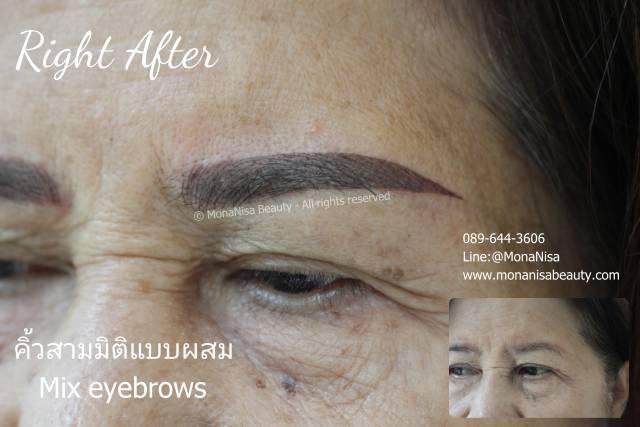 คิ้วสามมิติแบบผสม