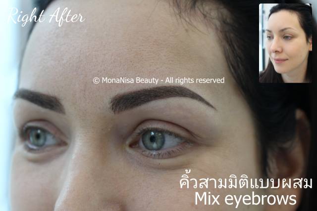 คิ้วสามมิติแบบผสม